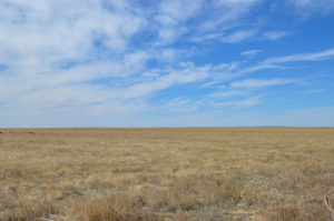 Colorado farmland