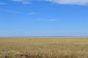 Colorado farmland