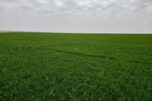 farmland in Oklahoma