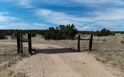 Farms and Ranches: Land for Sale in Southern Colorado