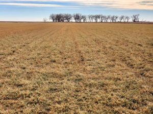 Colorado Farm Property for Sale