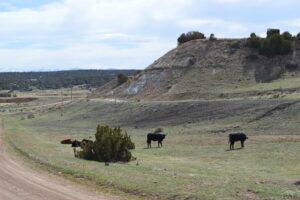 Ranchland in Southern Colorado