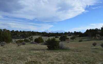 Getaway Ranchland in Southern Colorado