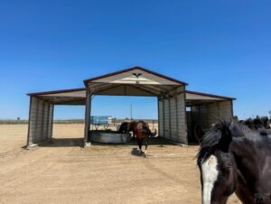 Equestrian Property