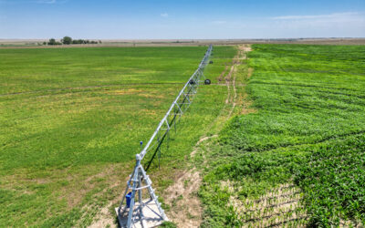 Agricultural Real Estate with New Reinke Sprinklers