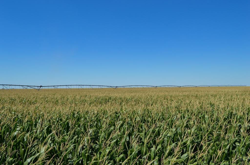 SE Colorado farm