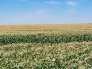 SE Colorado farm