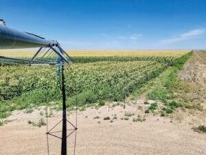 SE Colorado farm