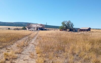 Own Colorado Property in Beulah Valley