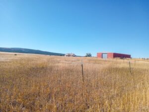 Colorado property in Beulah