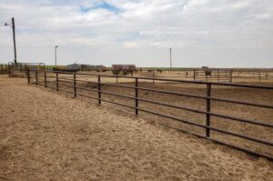 Oklahoma income crop farm