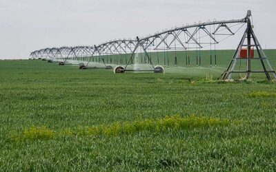 Farm Investment: Oklahoma Income Crop Farm for Sale