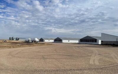 Auction – 5000 Head Sow Unit in Bent County