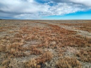 Colorado CRP land