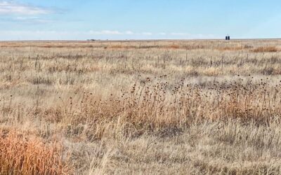 Better Price: Colorado CRP Land for Sale