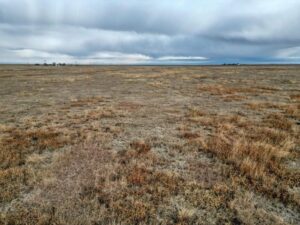 Colorado CRP land